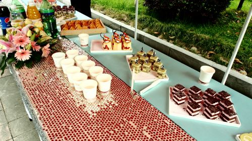 一路相伴、感恩有您 天都·锦绣世界VIP客户答谢酒会隆沉进行